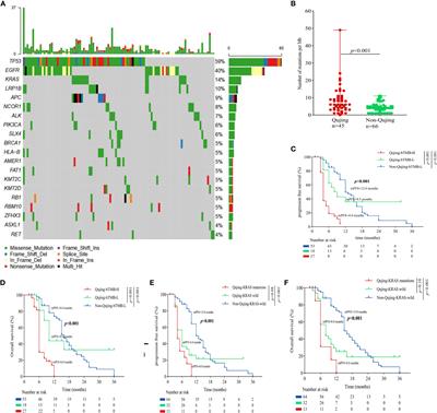 Unique profile on the progress free survival and overall survival in patients with advanced non-small cell lung cancer in the Qujing area, Southwest China